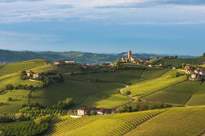 Private Tour: Barolo Wine Tasting in Langhe area from Torino - Summary of the Experience