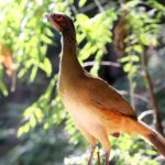 Private Tour: Botanical Garden, Petroglyphs & Mexican Food - Final Thoughts