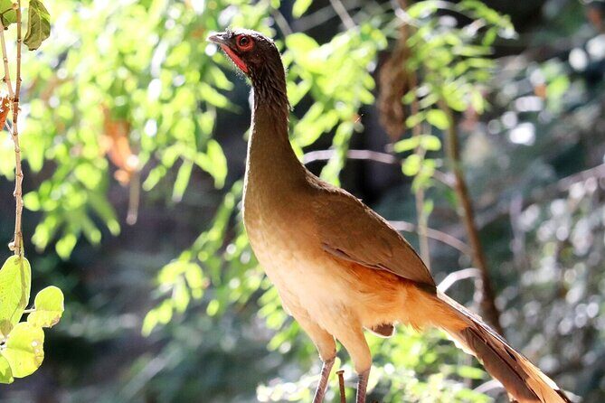 Private Tour: Botanical Garden, Petroglyphs & Mexican Food - Final Thoughts