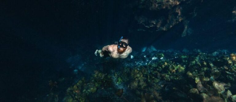 Private Tour cenotes of Mucuyche & Santa Barbara in one day - The Journey From Mérida to the Yucatán’s Cenotes