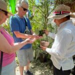 Private Tour Coba ruins Cenote Cavern Mayan Village Lunch - Authentic Mayan Lunch in a Village Setting