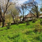 Private Tour Dracula Grave, Ceauescu Mansion and Village Museum - What Reviewers Say