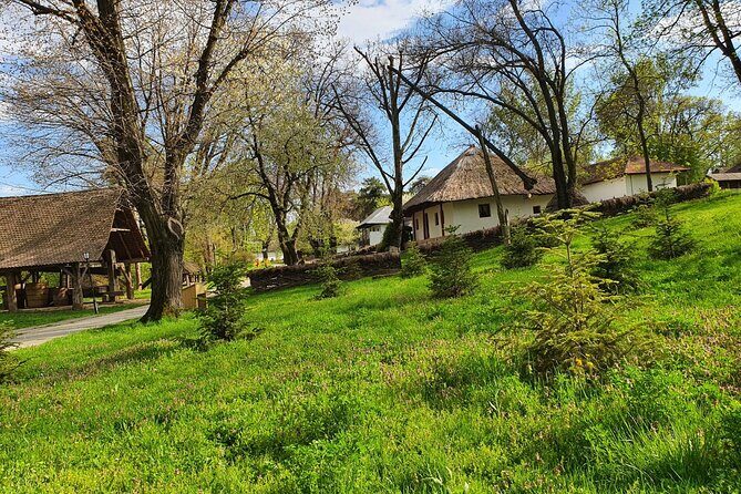 Private Tour Dracula Grave, Ceauescu Mansion and Village Museum - What Reviewers Say