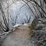 PRIVATE TOUR from Zagreb  Plitvice, Dubovac & Rastoke - The Itinerary Breakdown: What You Can Expect