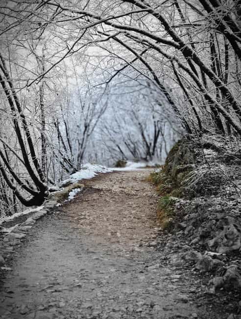 PRIVATE TOUR from Zagreb Plitvice, Dubovac & Rastoke - The Itinerary Breakdown: What You Can Expect