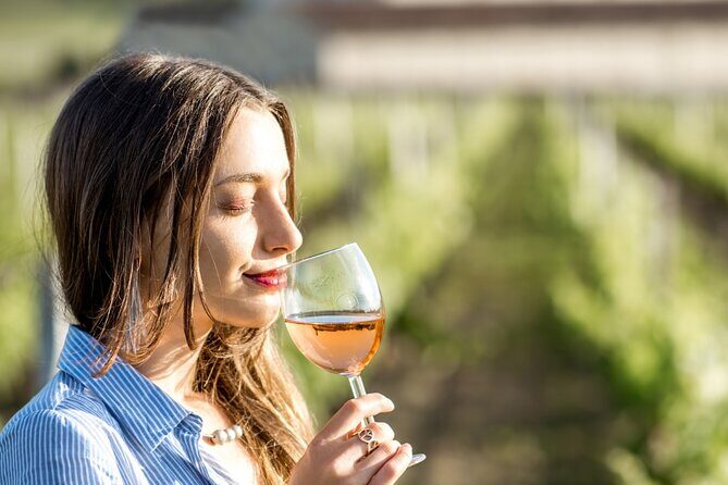 Private Tour in Baja California - Pricing and Value