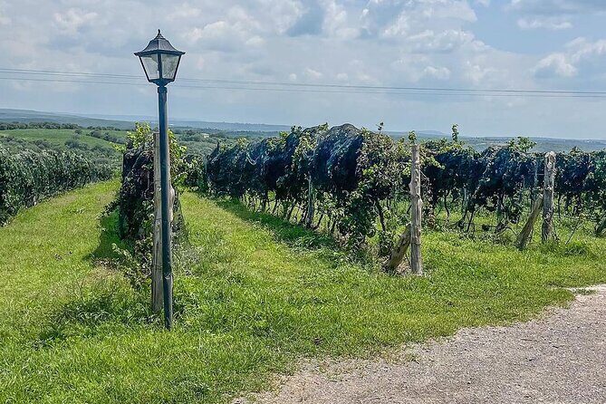 Private Tour in Jalostotitlán and Cerca Blanca Vineyard - Practical Details & What to Expect
