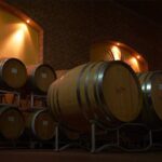 Private Tour in the Cellar and Tasting of Langhe Wines - Why This Tour Is a Great Choice