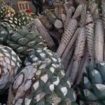 Private tour Mitla, Weavers town, Mezcal and Boil the water - What’s Included and What to Expect