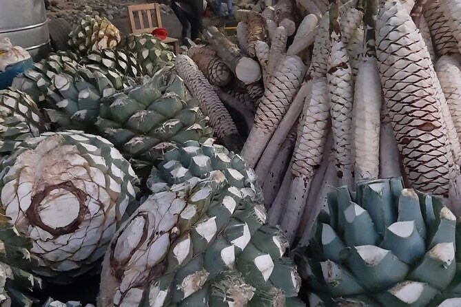 Private tour Mitla, Weavers town, Mezcal and Boil the water - What’s Included and What to Expect