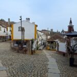 Private Tour Obidos and Nazare with Family Winery from Lisbon - The Practicalities: What to Expect