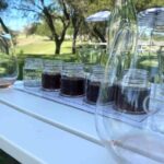 Private Tour of California's Central Coast (San Luis Obispo-Paso Robles-Cambria) - Highlights and Potential Stops