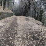 Private tour of Mount Etna and the Alcantara Gorges - Transportation and Practical Considerations
