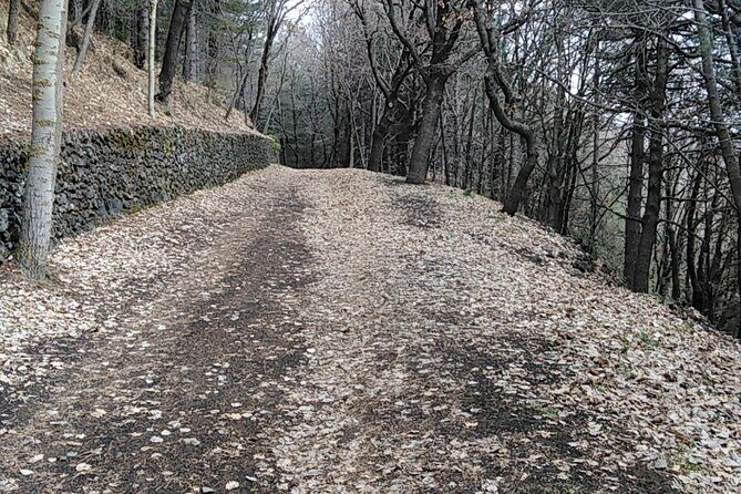 Private tour of Mount Etna and the Alcantara Gorges - Transportation and Practical Considerations