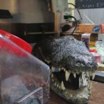 Private Tour of the Market Routes of Mexico City - The Sum Up