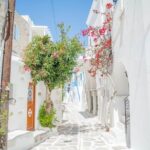 Private tour: Paros & Antiparos highlights 8 hours - Cost and Value