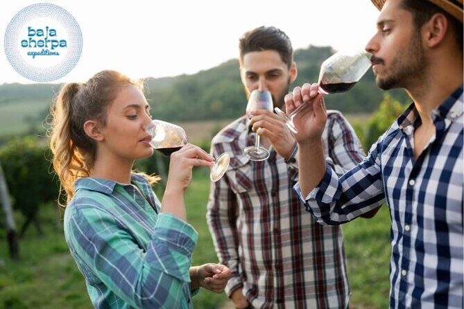 Private Tour Premium Wineries in the Valle de Guadalupe - The Itinerary: A Closer Look at Each Stop