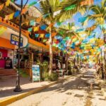 Private Tour, Sayulita & San Pancho - What’s Included & What’s Not