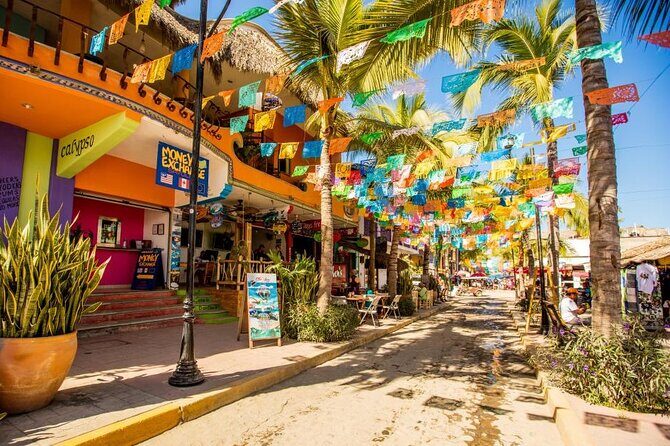 Private Tour, Sayulita & San Pancho - What’s Included & What’s Not