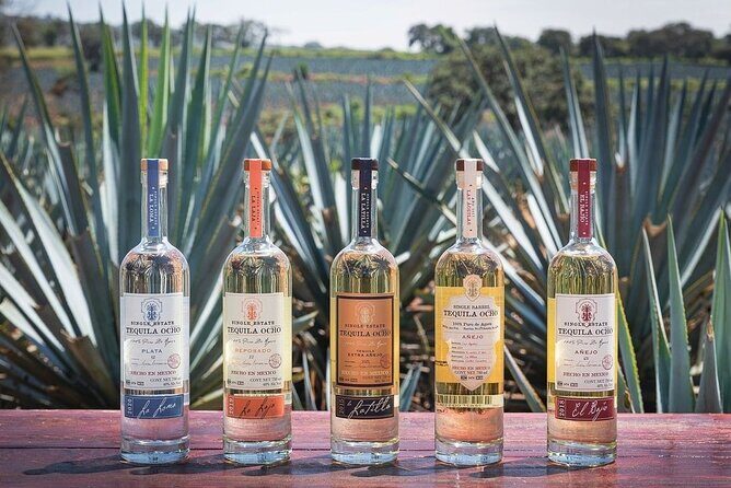 Private Tour to Distillery Tequila Ocho and Arandas - Practical Details and What to Expect
