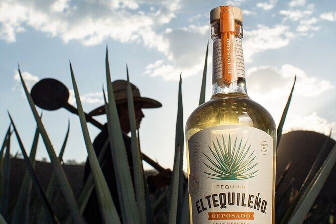 Private Tour to El Tequileño Distillery and visit to Tequila - What’s Included and What’s Not
