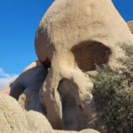 Private tour to Joshua Tree National park from Los Angeles - The Itinerary Breakdown