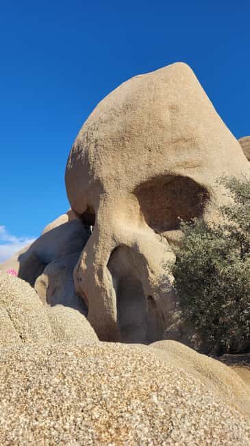 Private tour to Joshua Tree National park from Los Angeles - The Itinerary Breakdown