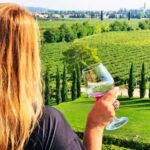 Private tour to Khor Virap Noravank wine tasting birds cave - Why This Tour Offers Great Value