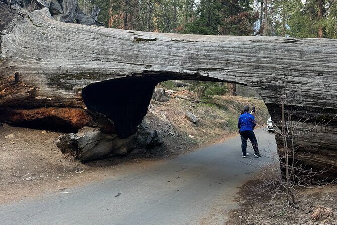 Private Tour to Sequoia and Kings Canyon National Parks - The Sum Up