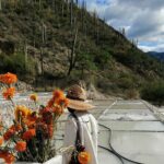 Private Tour to the Tehuacán Biosphere Reserve - Who Should Consider This Tour?