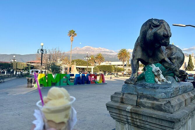 Private Tour to the Volcano Area with Lunch - In-Depth Review of the Volcano Area Tour