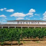 PRIVATE TOUR WINE TASTING QUINTA BACALHÔA & JOSÉ MARIA FONSECA (Setubal Region) - Authentic Experiences & Review Highlights