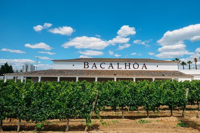 PRIVATE TOUR WINE TASTING QUINTA BACALHÔA & JOSÉ MARIA FONSECA (Setubal Region) - Authentic Experiences & Review Highlights