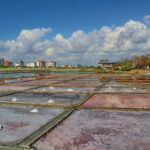 Private Tour: Wine Tasting Tour, Mud Baths, History & more - Practical Details & Value