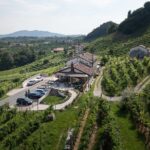 Private Tour with Prosecco DOCG Tasting - What to Expect: A Guided Journey Through Valdobbiadene DOCG Prosecco