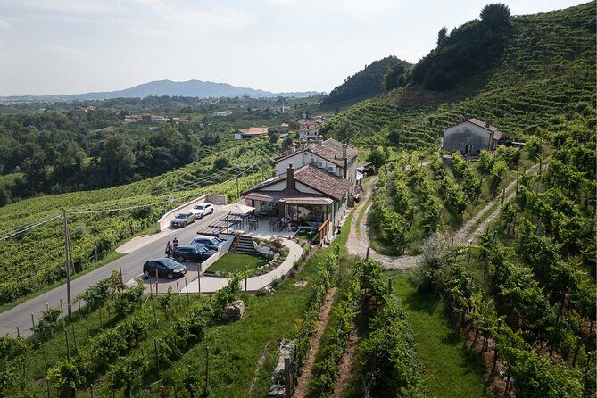 Private Tour with Prosecco DOCG Tasting - What to Expect: A Guided Journey Through Valdobbiadene DOCG Prosecco