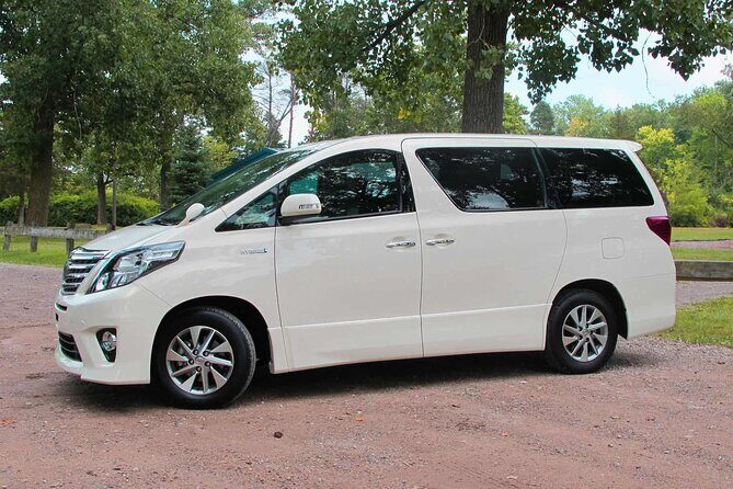 Private Transfer from Cabo San Lucas Port to San Jose Del Cabo - Who Is This Transfer Best For?