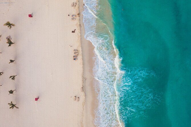 Private Transfer from Cabo San Lucas to La Paz - What to Expect on the Journey