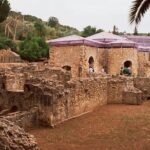 Private Transfer from Catania to Agrigento (Direct or with Stops) - Who Will Love This Experience?