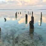 Private Transfer From Guadalajara To Puerto Vallarta, 2 Hour Stop - Transportation and Timing