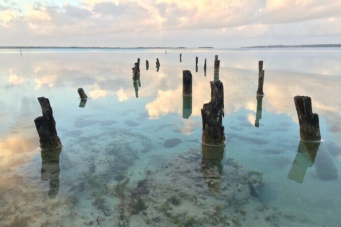 Private Transfer From Guadalajara To Puerto Vallarta, 2 Hour Stop - Transportation and Timing