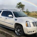 Private Transfer from Hilo Cruise Port to Kona city hotels - Meeting Points and Convenience