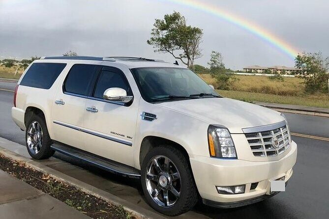 Private Transfer from Hilo Cruise Port to Kona city hotels - Meeting Points and Convenience