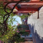 Private Transfer from Mexico City to San Miguel de Allende - FAQ