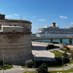 Private Transfer from the Port of Civitavecchia to Rome - What to Expect During the Transfer