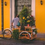 Private Transfer From Uxmal to Merida, English Speaking Driver - Whats Included?