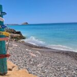 Private Transportation at VAN Airport Los Cabos - Cabo Pulmo Park - Why Choose This Service?