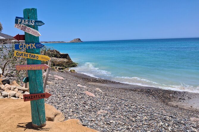 Private Transportation at VAN Airport Los Cabos - Cabo Pulmo Park - Why Choose This Service?