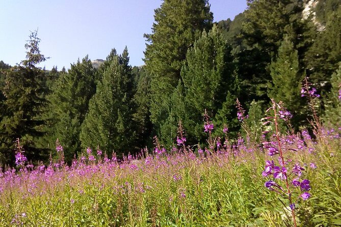 Private Trekking in Rila Mountains and Mt Mousala from Sofia - What Makes This Tour Stand Out?