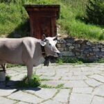 Private Trip to Heidi World Family Day from Zurich - Who Should Book This Tour?